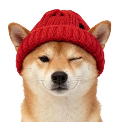 Pet Knitted Hat Red Warm Dog Beanie with Ear Holes Festive Winter Warm Pet Headwear Knitted Hat for Small Medium Dogs