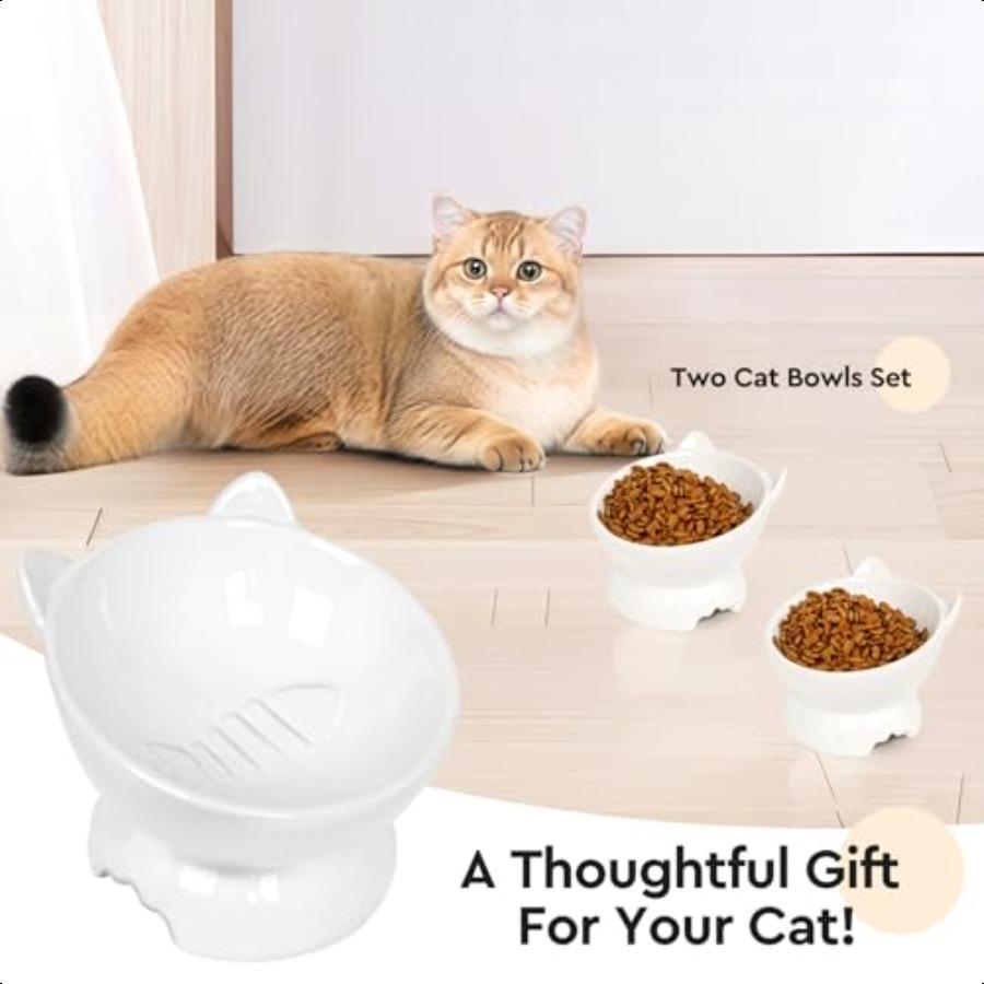 

2 шт. Керамические приподнятые кошачьи миски для еды и воды Широкий неглубокий дизайн WhiskerFriendly Приподнятые кошачьи миски Миска для корма для домашних животных против рвоты Гр United States