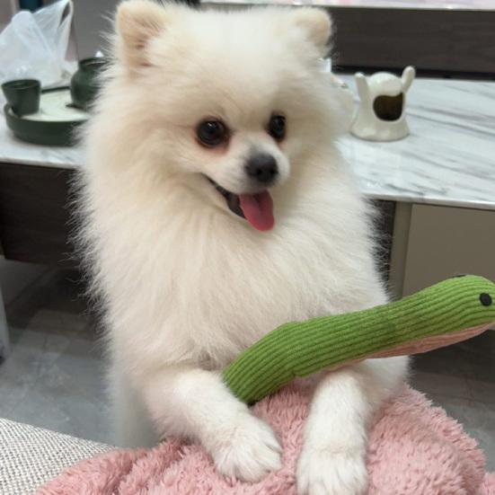 Corduroy Snake Dog Toy Soft Chew Toy Puppy Teething Toy Stuffed Green Snake