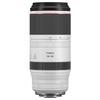 Canon RF 100-500mm F4.5-7.1 L IS USM Super Telephoto Zoom Lens