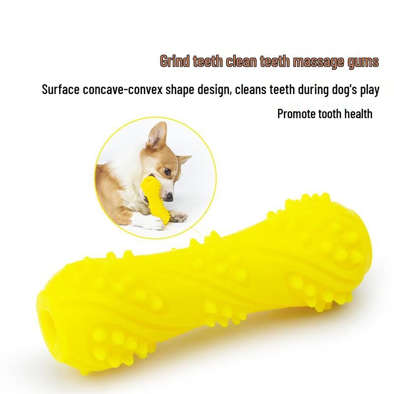 EETOYS Pet Dog Chew & Squeaky Rubber Ball Toy