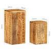 VidaXL Tables d'appoint 2 pcs Bois de manguier solide