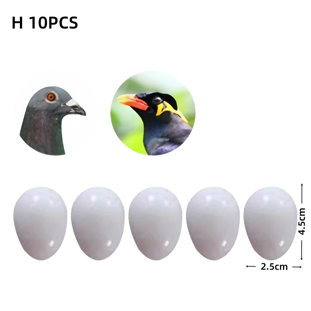 10pcs Realistic Dummy Eggs Multi-size Parrot Eggs Model Simulation Bird Eggs  For Budgie Cockatiel