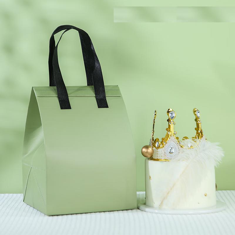 Qing Ruoxi Non-woven Insulated Disposable Takeout Bags 4 inch
