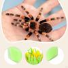 Reptile Humidifier, Air Humidity Supplies Compact Humidifying System Imitation Plants Humidifier for