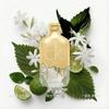 Calvin Klein perfume One Carre Youxuan Gold Edition Woody Eau de Toilette EDT Sage Patchouli // Birthday gift for girlfriend 50ml without gift box
