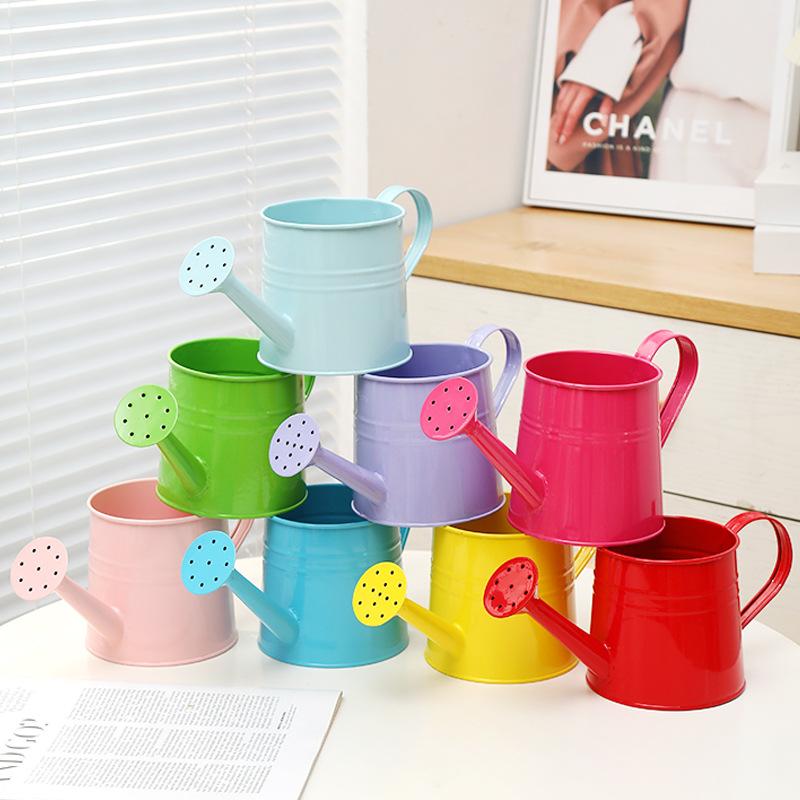 Metal Watering Can Garden Flower Kettle Mini Small Water Spraying Pot Sprinkle With Large Capacity For Kids Adult