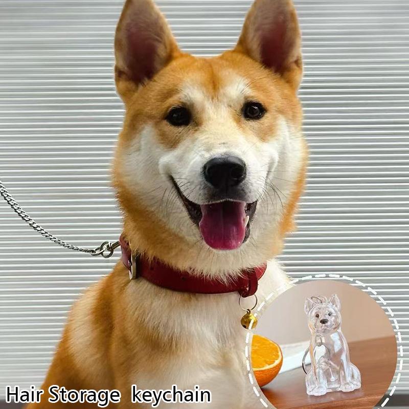 1PC Transparent Design DIY Widgets Pet Display Keychains Gifts For Dog Lovers Pet Hair Storage Cute Bag Pendants Funny 8 Styles
