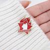 Russian Blue Cat Funny Cat Pins Russian Cat Star Brooches  Funny Communist Gifts