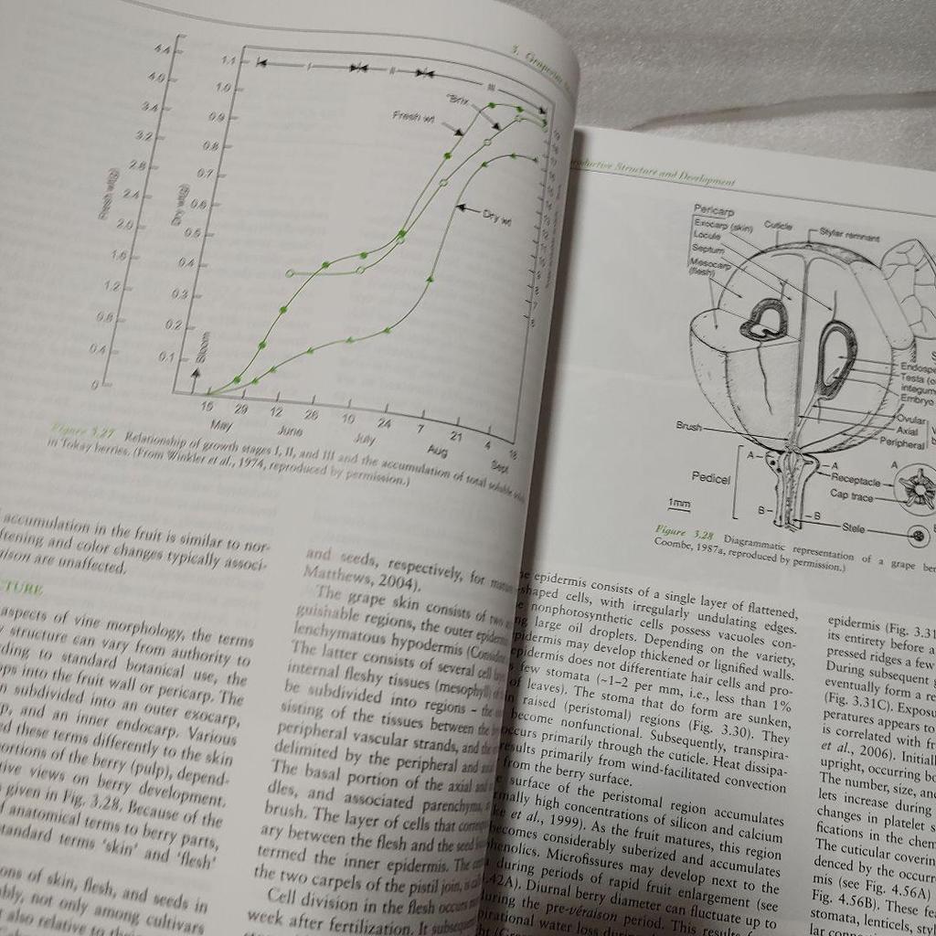 [USED] Wine Science Principles and Applications
