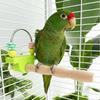 Flower Chew Fun Bird Perch Stand Wear-resistant Easy Installation Parrot Standing Pole Non-slip Beak Nail Grinder