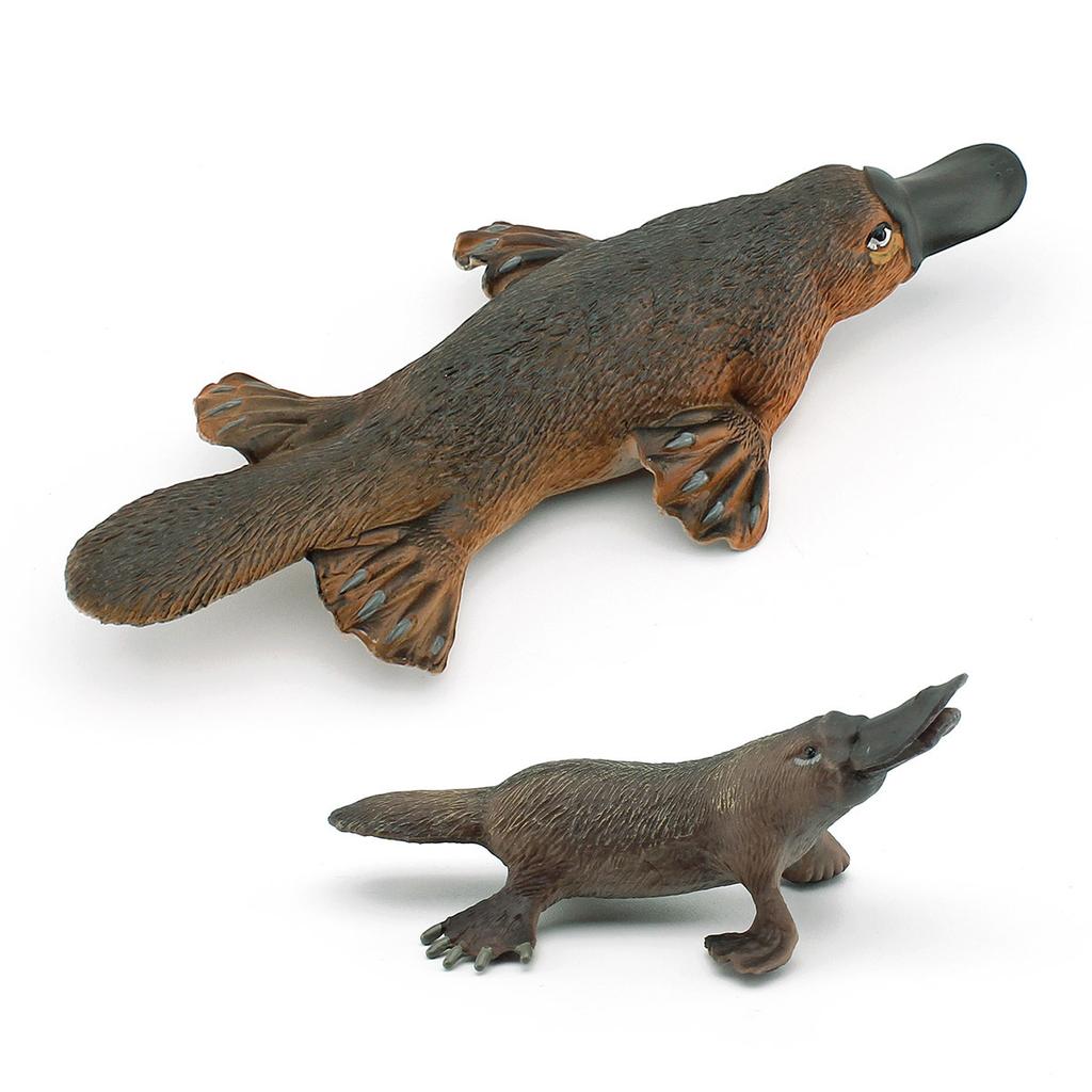 Forest Mammal Platypus Model Children'S Cognition Australian Duck Otter Tabletop Ornament