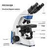 Lab Biological Microscope