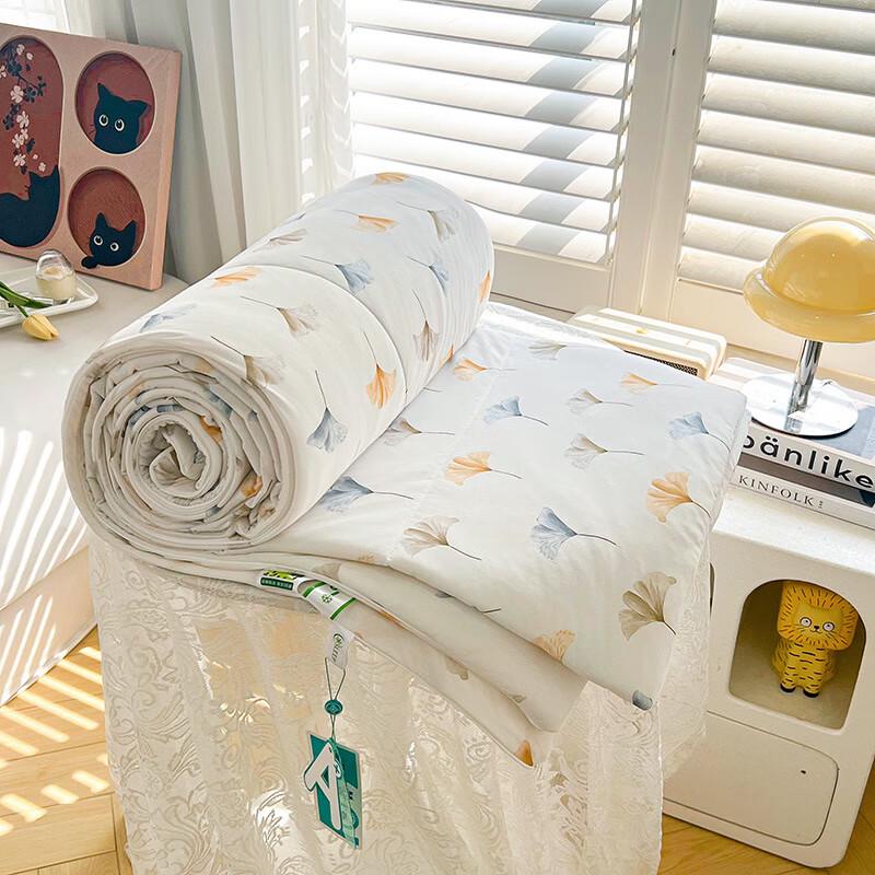 

LISM Digital Print Cooling Summer Quilt