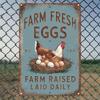 Vintage Farm Fresh Eggs Rustic Chicken Metal Sign 12x8 Inch Kitchen Wall Decor Aluminum Plaque