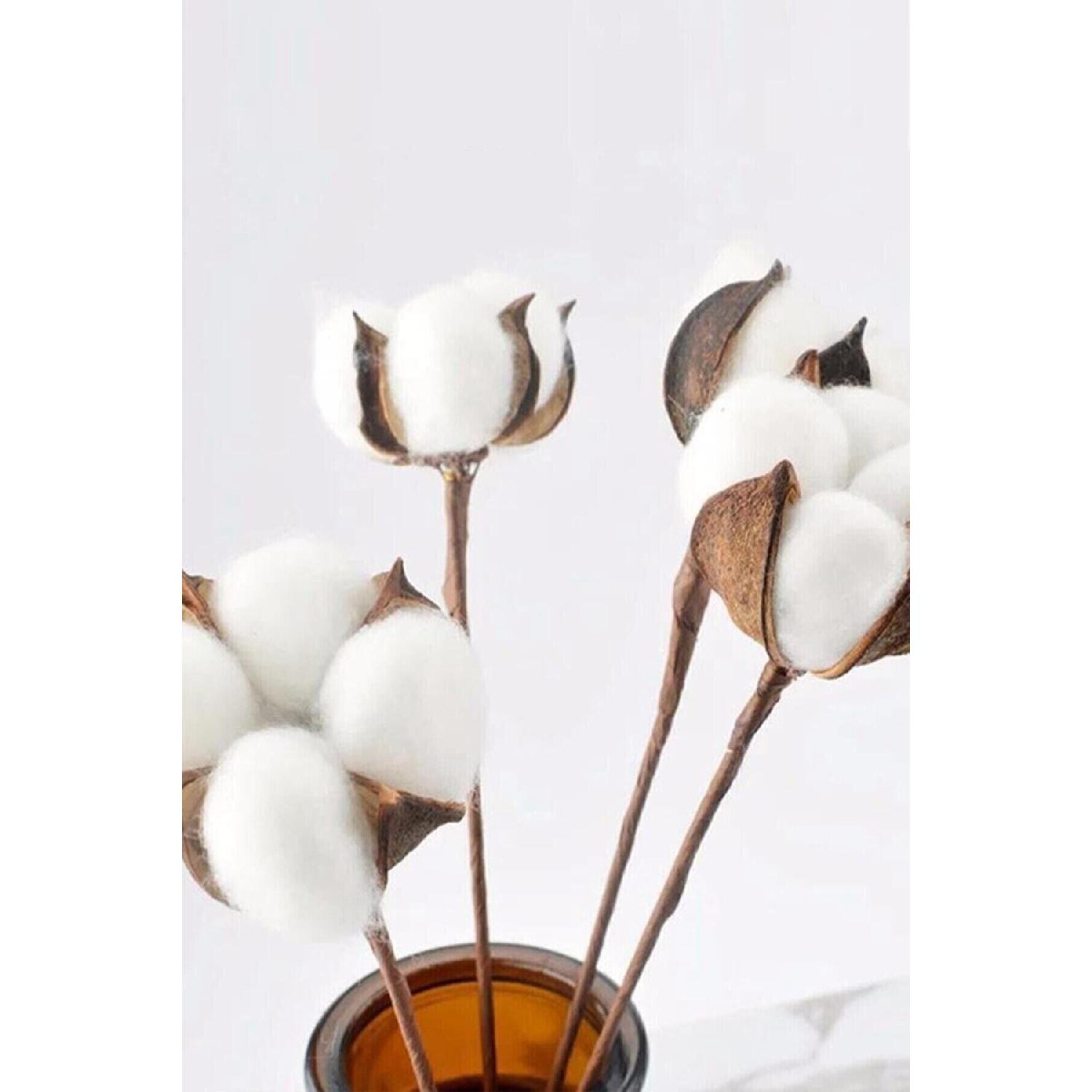 

White Natural Cotton Branches (6 Pieces) белый