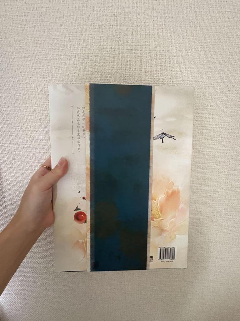 [USED] Tenkan Tifuku Art Book