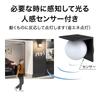 Takasho ExLights Solar Wall Light META Dark Gray, Outdoor Security Sensor Light, Bright, Long-Lasting Light for Entryways, ABS Resin and Polyethylene,