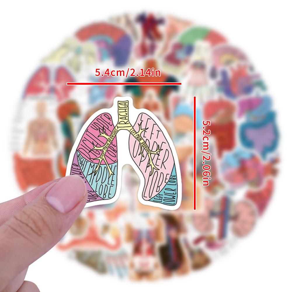 60-Piece Human Anatomy Waterproof Doodle Stickers for Scooter, Notebook, Water Bottle