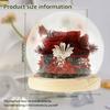 Artificial Rose Flowers Glass Cover Simulation Eternal Rose Flower Mothers Day Gifts Party Supply Valentine's Day Wedding Decor