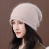 Autumn and Winter Wool Hat Women's New Fashion Rabbit Fur Beret Thermal Ear Protector Knitted Hat