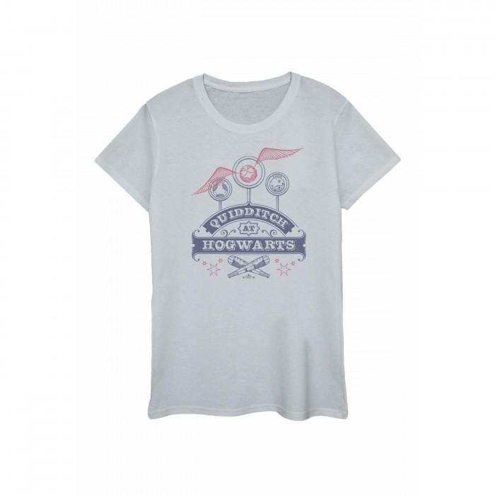 Harry Potter Womens/Ladies Quidditch At Hogwarts T-Shirt