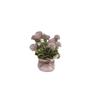 Ornaments Artificial Potted Flowers Mini Simulation Plants Gifts Potted Plants  Office