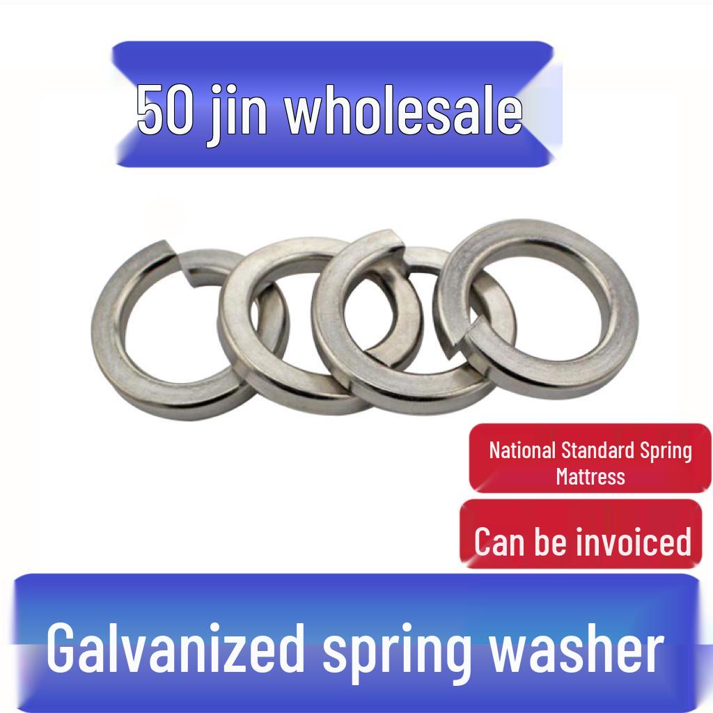 Galvanized Split Spring Washer Ring Set (M5-M20) M8 (50 lbs, 15,000 pcs)