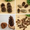 1-15Cm Natural Pine Cone Christmas Decoration Pendant Creative Ornament Shooting Prop Dried Flower Pine Tower