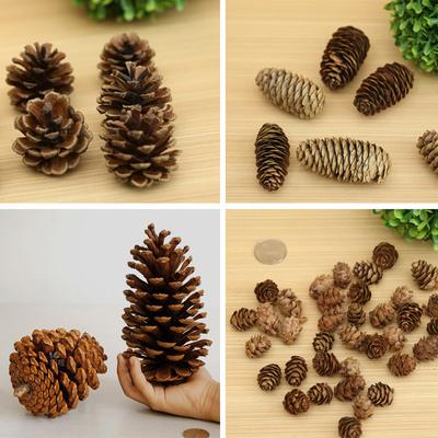 1-15Cm Natural Pine Cone Christmas Decoration Pendant Creative Ornament Shooting Prop Dried Flower Pine Tower