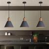 Oeny Simple Macaron Single-Head Pendant Light