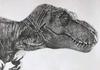 SanDoll Dinosaurierfigur, Realistisches Modell, Jurazeit, 30 cm hoch, Beeindruckendes fleischfressendes Reptil, Kinderspielzeug, Geschenk, Ausstellungsstück (Tyrannosaurus Typ 1)