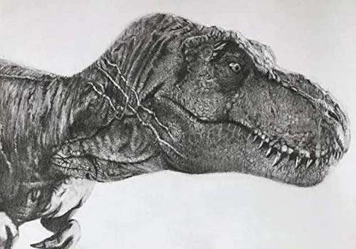 SanDoll Dinosaurierfigur, Realistisches Modell, Jurazeit, 30 cm hoch, Beeindruckendes fleischfressendes Reptil, Kinderspielzeug, Geschenk, Ausstellungsstück (Tyrannosaurus Typ 1)