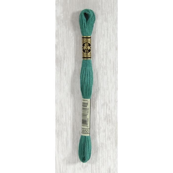 DMC Fil Mouliné 3850