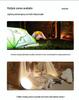 Rechargeable Super Bright LED Camping & Emergency Light for Outdoor & Night Market Use