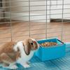 No Spill Rabbit Hanging Feeder Wall Mount Hamster Hanging Bowl Pigeon Water Bowl Travel