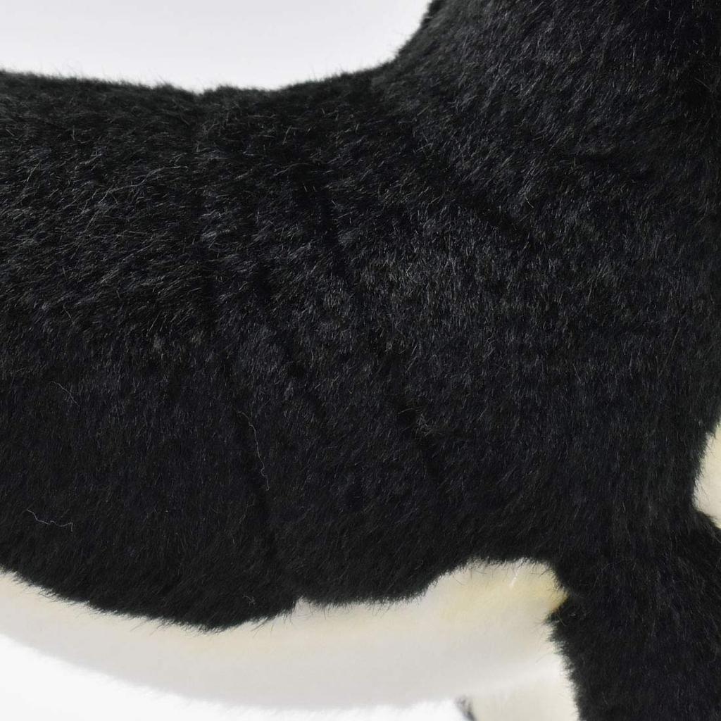 BH6367 HANSA Čivava 27