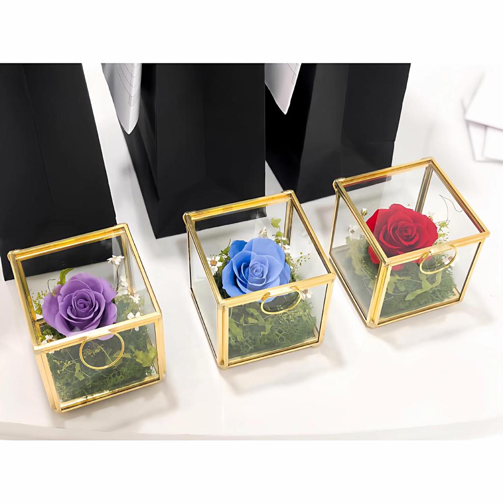 Nordische Glasglocke Schmuck- und Kosmetik-Aufbewahrungsbox
