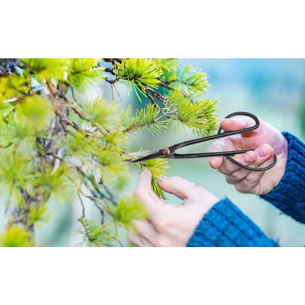 Sada stromků bonsají, sada nástrojů na bonsaje, sada sukulentů, sada 16 kusů, sada zahradního ručního nářadí