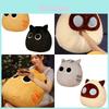 Soft Short-haired Plush Cat Ball Pillow, Adorable Cat Doll