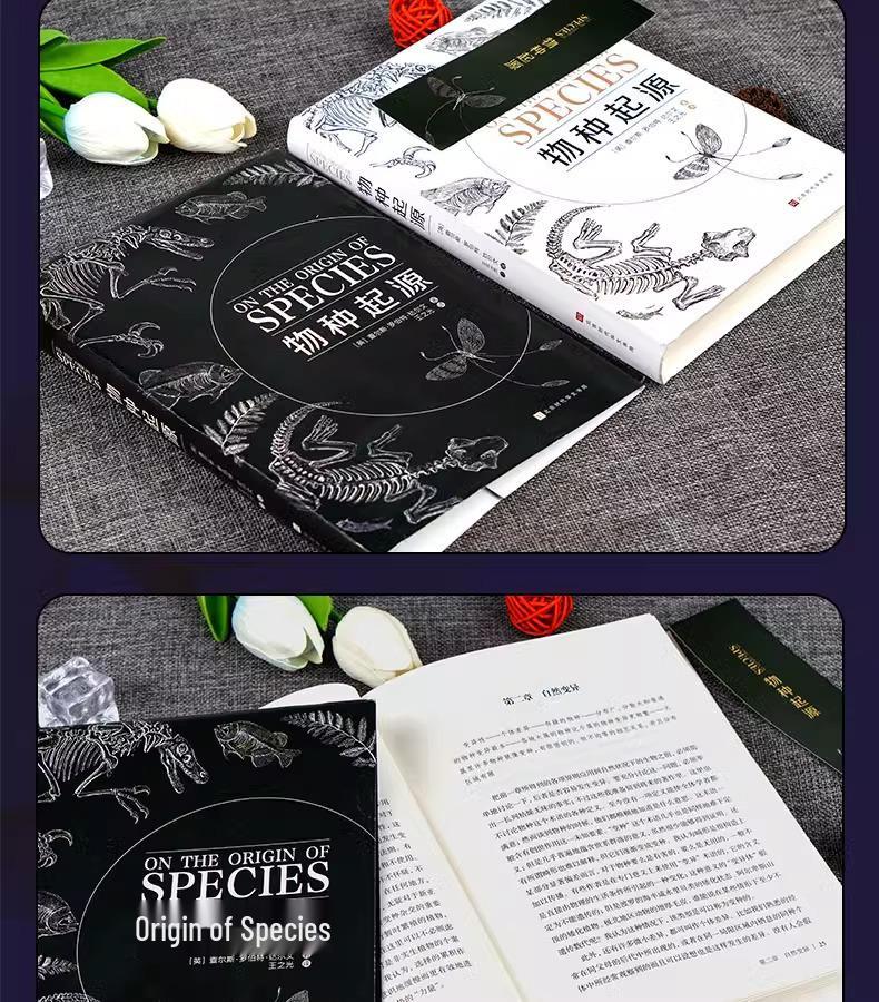 Origin of Species: A Science and Nature Guide for Teenagers - Perfect for Junior and Senior High School Extracurricular Reading