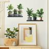 Painted Green Plant Potted Plant Simulation Shelving Bedroom Study, Living Room Home Background Decoration Wall Stickers
