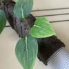 Decorative Insulating Flower Vine: Beautify & Protect Air Conditioner, Gas, and Water Pipes