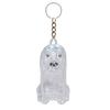 Dog Hair Collector Charm Keychain Transparent Pet Fur Keepsake Capsule Rabbit Memorial Pet Hair Collection Bottle Charm with Keyring Gift for Pet