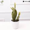 Oulifei Premium Artificial Tropical Succulent Cactus Bonsai for Home Decor