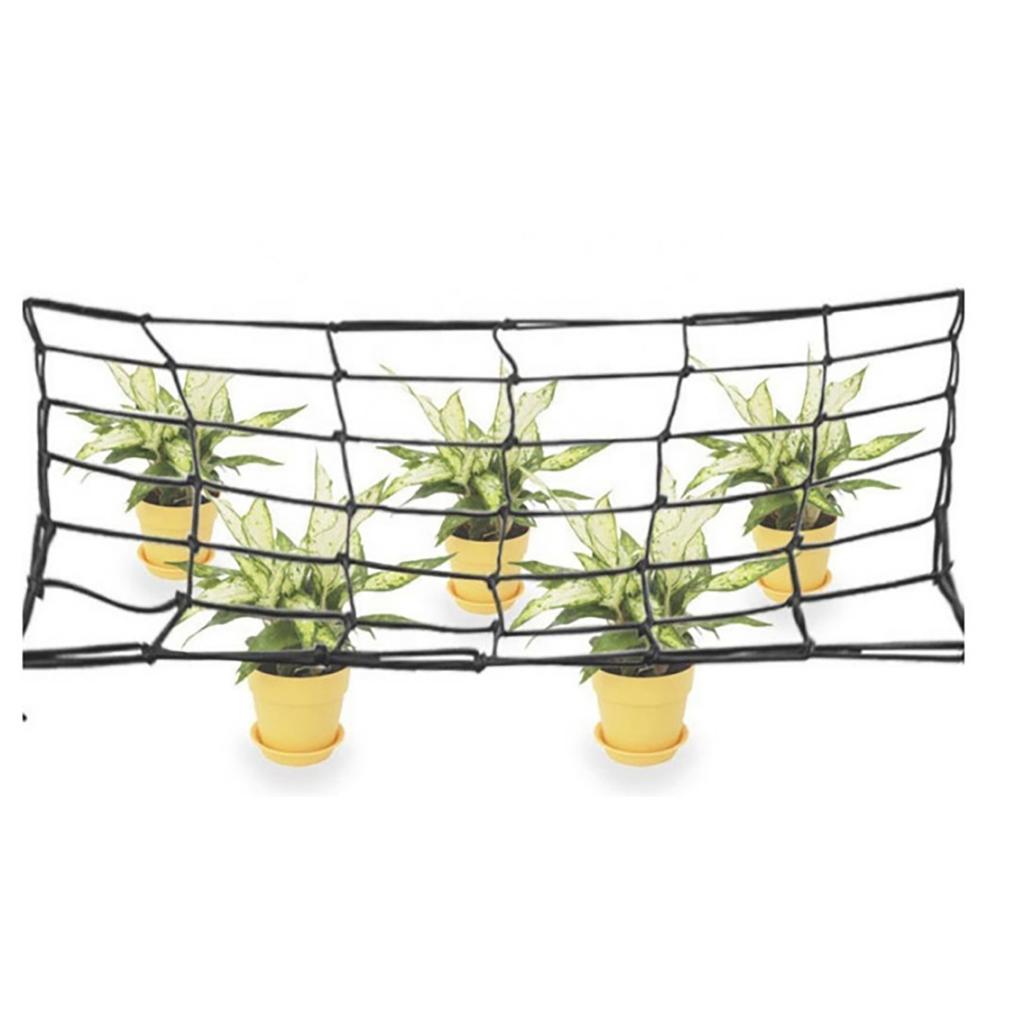 Plants Climbing Supports Flexible Trellis Net Plant Cages Flexible Climbing Plants Net for Indoor Plant Growing Tents
