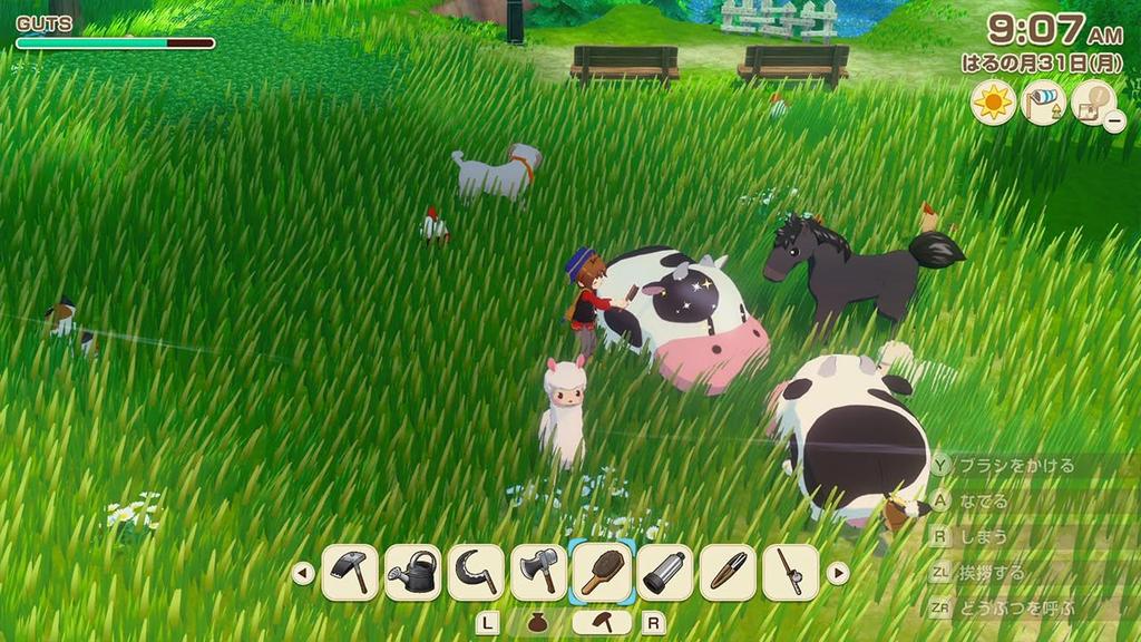 Harvest Moon Grand Bazaar of the Wind Switch Let's! -
