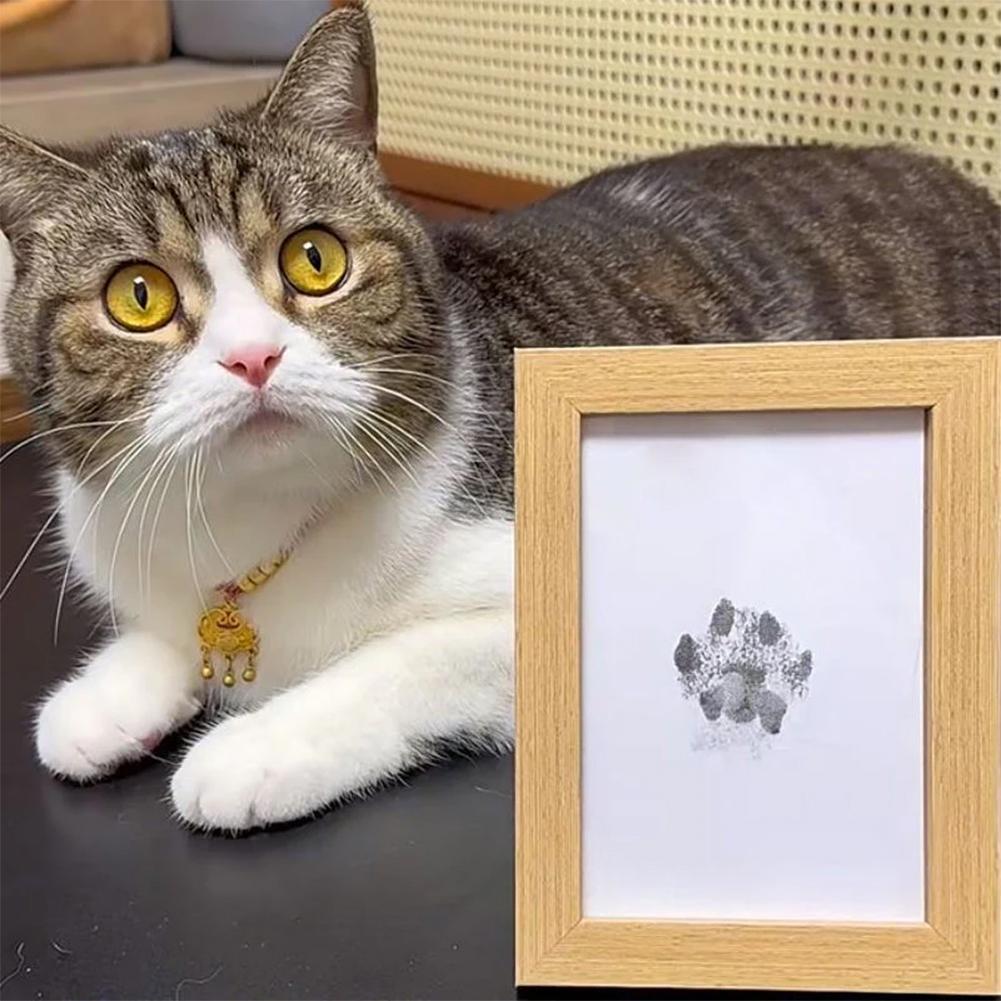 Pet Paw Print Desk Frame With Ink Kit Pet Memorial Picture Frame With Pawprints For Home Decor
