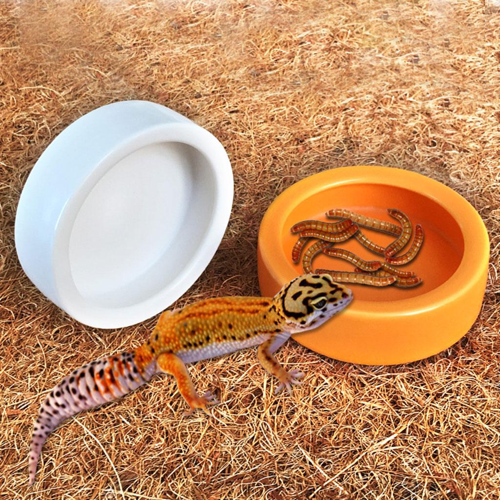 Reptile Food Bowl Mini Ceramic Water Feeder Bowl, Reptile Worm Feeding Dish for Lizard for Turtle Bearded Dragon