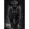 Tier Motivationsposter Panther Löwe Motivierende Leinwandposter Drucke Leinwandmalerei Fokus Erobern Furchtlos Wandbild Wanddeko